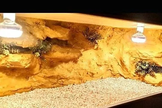 Okazja terrarium dla agamy brodatej gekona lamparciego