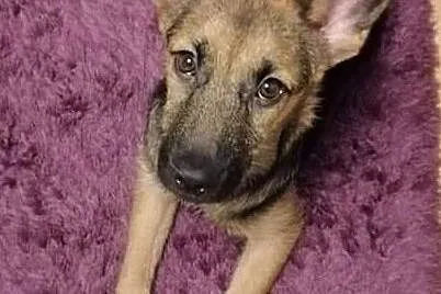 BELVITA do Twego serca zawita!, Mazowieckie, Warszawa