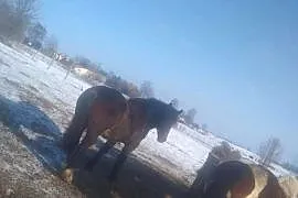 Zmieni właściciela