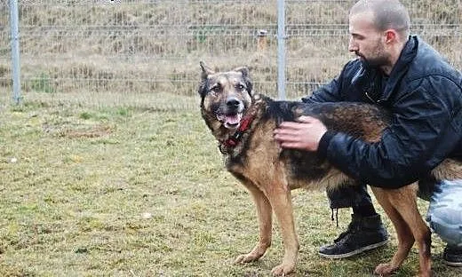 Roki potrzebuje kogoś, kto go pokocha!, wielkopol