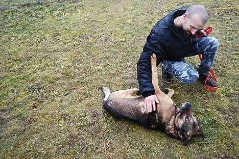 Roki potrzebuje kogoś, kto go pokocha!,  wielkopol