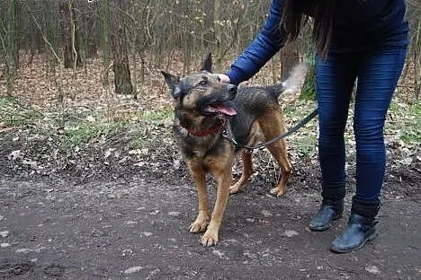 Roki potrzebuje kogoś, kto go pokocha!,  wielkopol