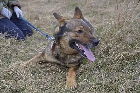 Aleks nie zaznał od człowieka ni krztyny dobroci__