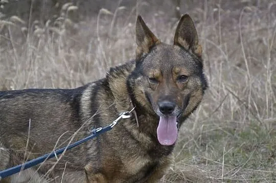 Aleks nie zaznał od człowieka ni krztyny dobroci__