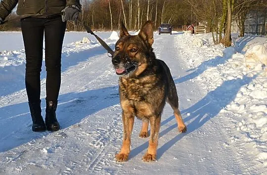 Aleks nie zaznał od człowieka ni krztyny dobroci__