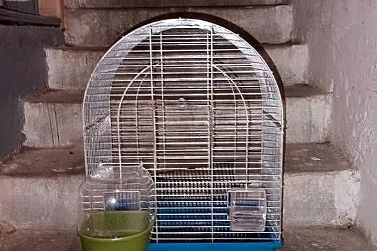 Klatka dla papug