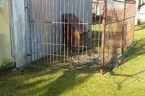 KOJEC DLA PSA, 5mx1,8m, PASUJE DO BLASZAKA, Podkarpackie, Leżajsk