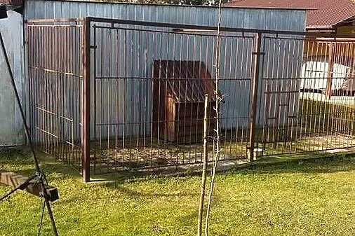 KOJEC DLA PSA, 5mx1,8m, PASUJE DO BLASZAKA, Podkarpackie, Leżajsk