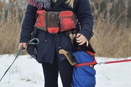 Maniuś , zupełnie zwykły, niezwykły kundelek. ,  m