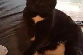 Milka