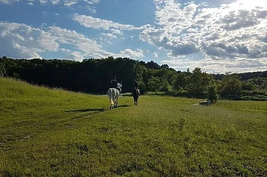 PROFESOR DO DUŻEGO SPORTU, Pomorskie, Kwidzyn