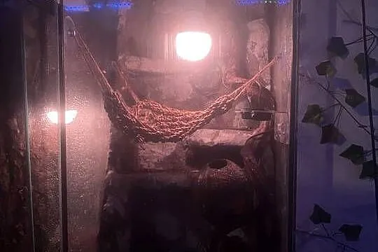 gekon orzęsiony odmiany dalmatian wraz z terrarium, Małopolskie, Kraków