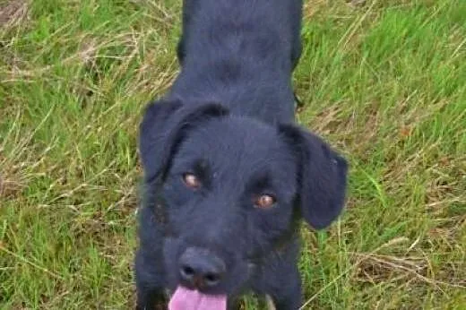 Kto przygarnie smutnego Zamiego? Jest coraz zimnie