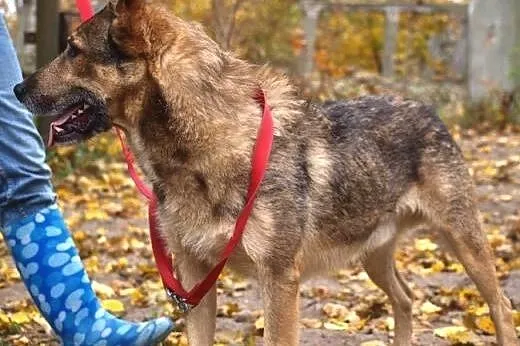 Orlen - dobry przyjaciel :),  warmińsko-mazurskie 