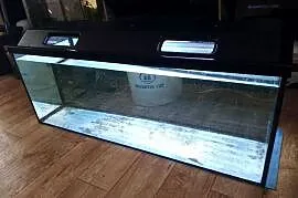 Akwarium 240L