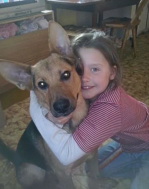 Jerry pies ideał do adopcji :), mazowieckie Nowy