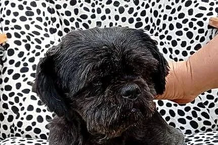Mati