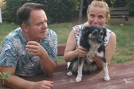 Tinka znaleziona w lesie do adopcji,  kujawsko-pom