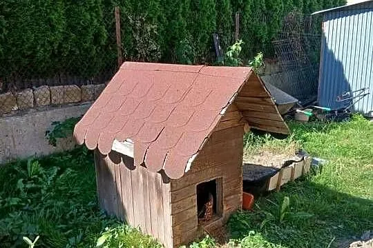 TANIA buda dla psa - ocieplona styropianem, Małopolskie, Bochnia