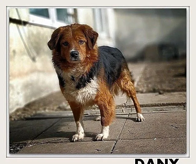 DANY, Łódzkie, Łódź
