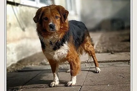 DANY, Łódzkie, Łódź