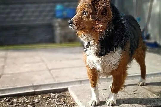 DANY, Łódzkie, Łódź