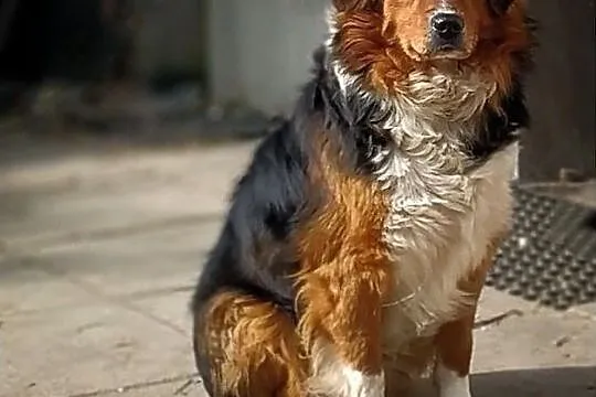 DANY, Łódzkie, Łódź