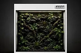Terrarium tropikalne dla boa cesarskiego pytona regiusa kameleona