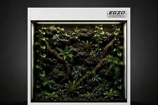 Terrarium tropikalne dla boa cesarskiego pytona regiusa kameleona