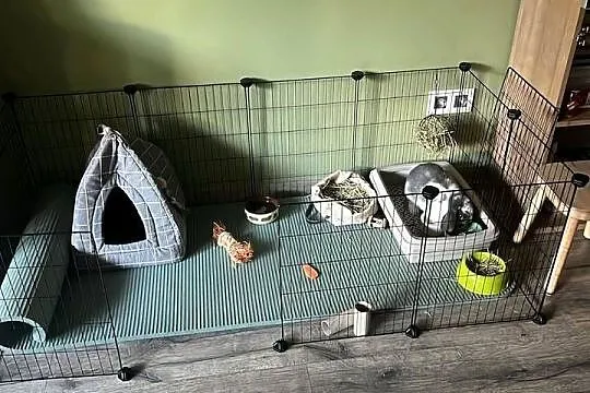 Klatka wybieg dla gryzonia moduły metalowe DIY