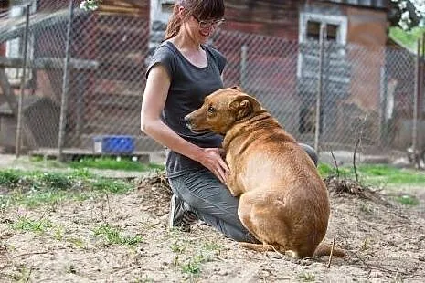 Donatella, cudna ruda piękność szuka domu!,  Kunde