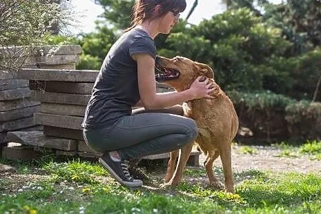 Donatella, cudna ruda piękność szuka domu!,  Kunde