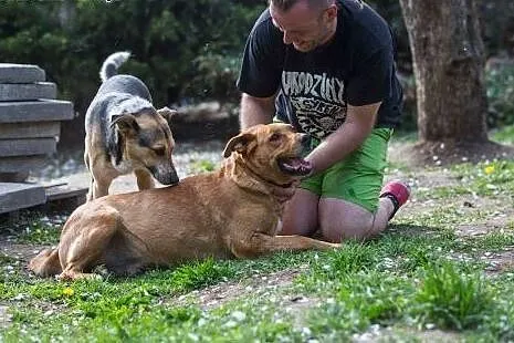 Donatella, cudna ruda piękność szuka domu!,  Kunde