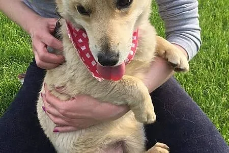 Timon - kochane i energiczne maleństwo do adopcji!