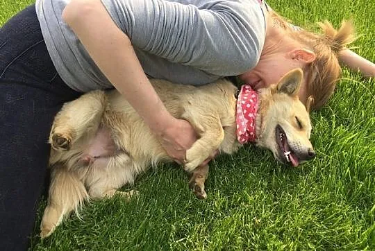 Timon - kochane i energiczne maleństwo do adopcji!
