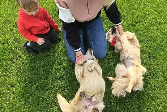 Timon - kochane i energiczne maleństwo do adopcji!