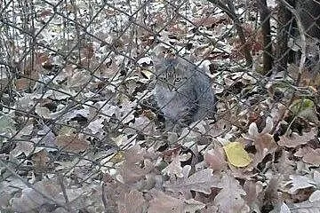 Rodzina z działek pilnie szuka dachu nad głową,  m
