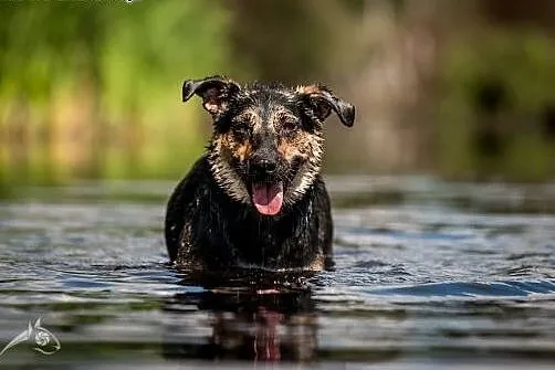 Dom na całe życie poszukiwany!! :),  świętokrzyski