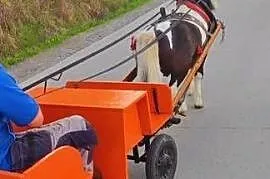 Bryczka dla kucyka