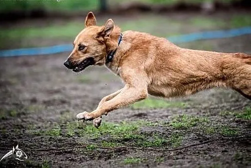 Już pędzę, Już lecę! Oto LORI co człowieka chce do