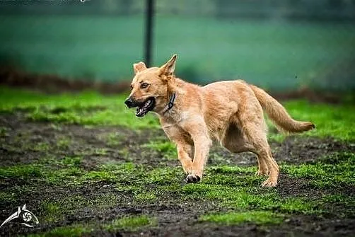 Już pędzę, Już lecę! Oto LORI co człowieka chce do