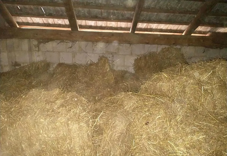 Sprzedam siano, Podkarpackie, Rozbórz Okrągły