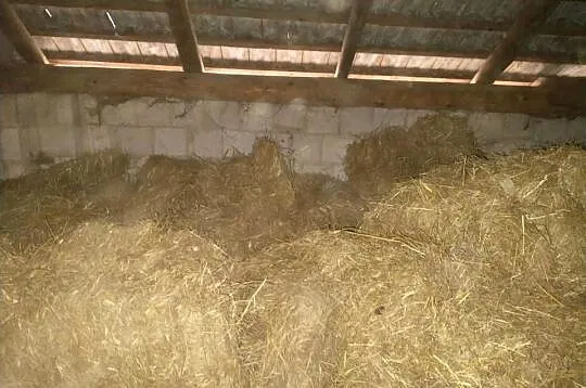 Sprzedam siano, Podkarpackie, Rozbórz Okrągły