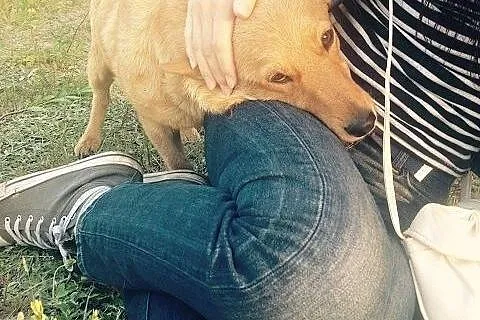 LUNKA radosna, młodziutka kruszynka czeka na dom, 