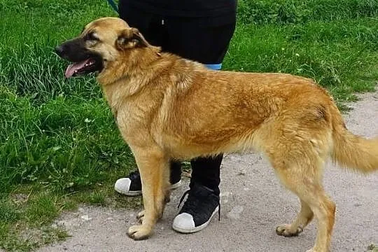 Dora czeka na dom