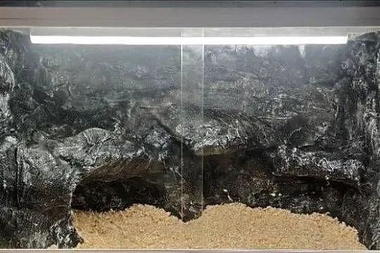Terrarium dla agamy brodatej gekona lamparciego