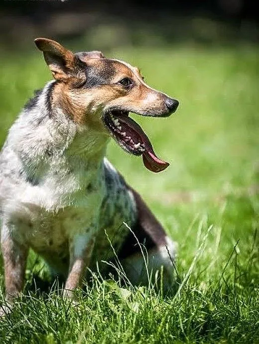 Gacek Gacek zje Ci placek ;), mazowieckie Warszaw