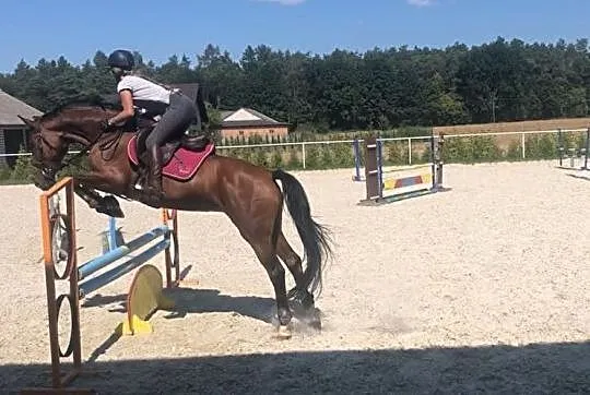 Klacz do sportu