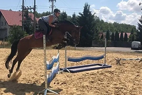 Klacz do sportu, , 