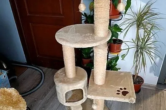 drapak dla kota bardzo pilnie sprzedam